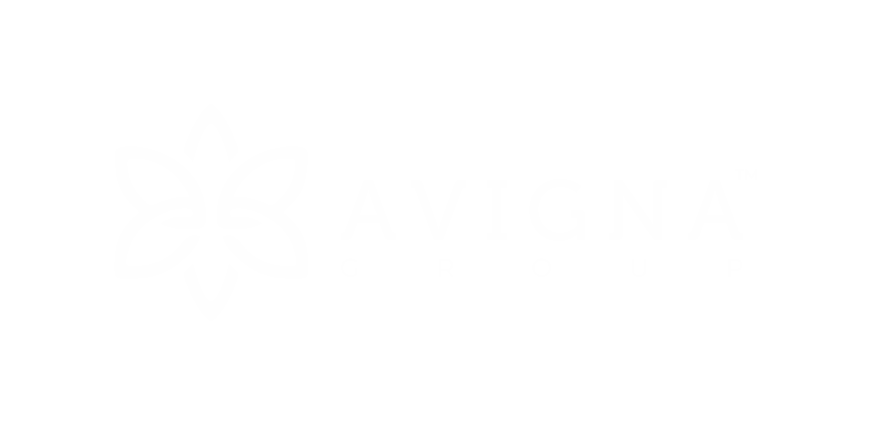Avigna Group