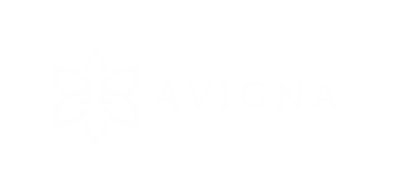 Avigna Group